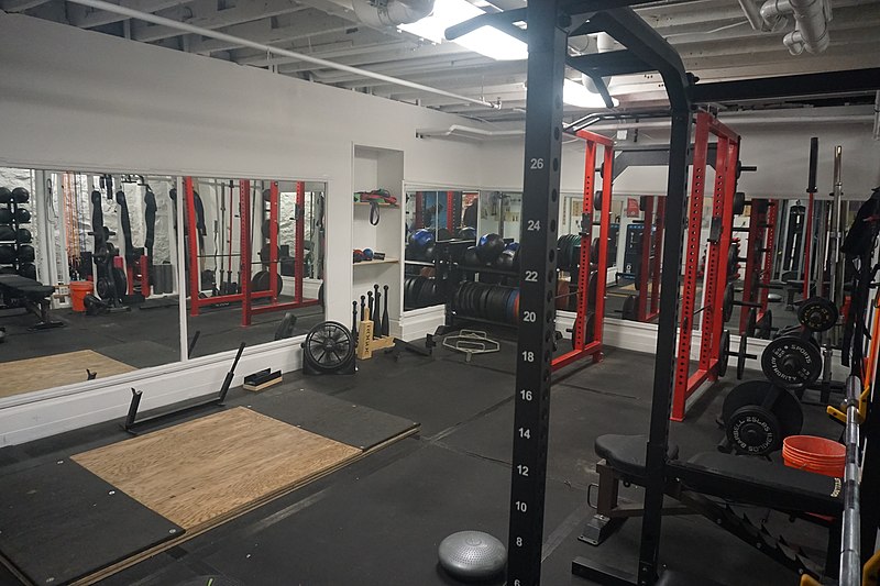 gym weights