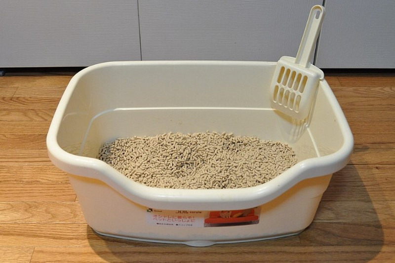 Cat Litter Box