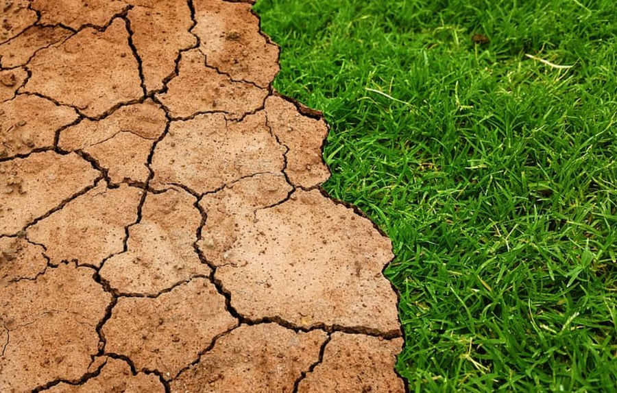 Climate Change