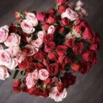 roses