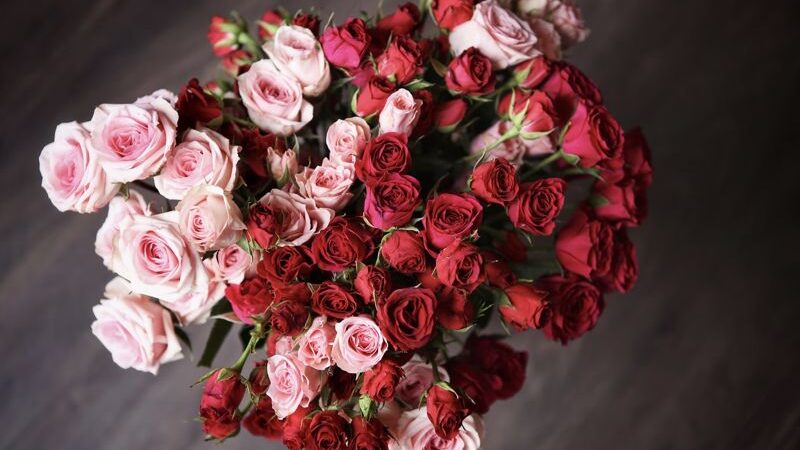 Seven Gifts to Give Someone Who Seems to Have Everything