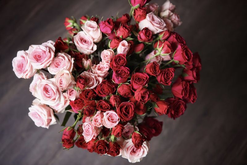 Seven Gifts to Give Someone Who Seems to Have Everything
