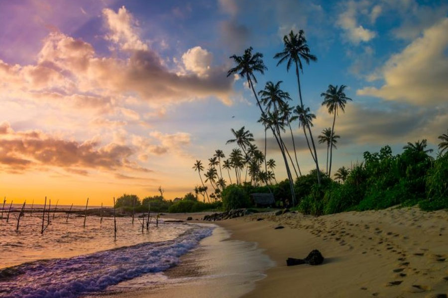 Visit Sri Lanka