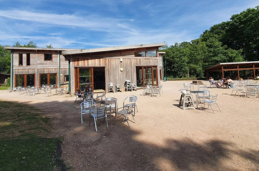 The Banana Cafe Trentham Monkey Forest
