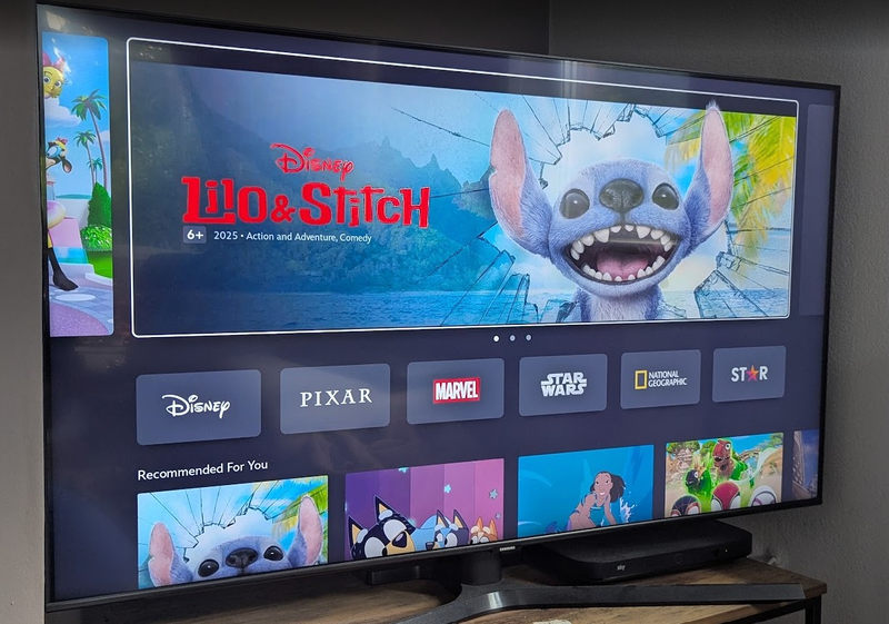 Disney Plus Brands Included