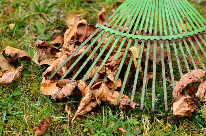 Garden Rake Leaves