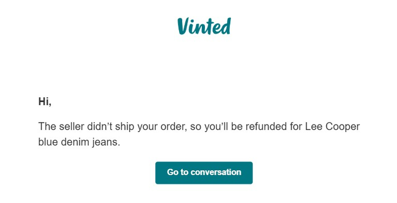 Vinted email seller did not send the item