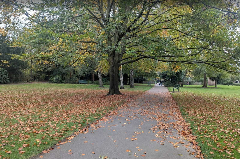 Bruntwood Park Walks
