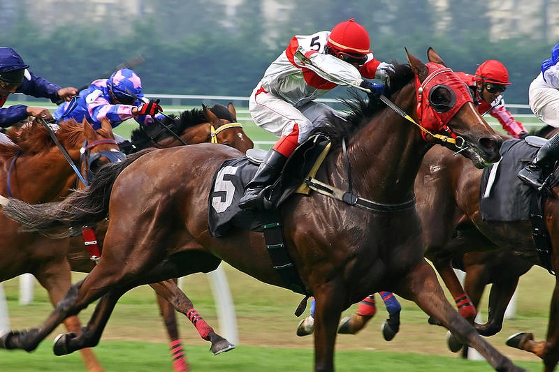 Racehorse