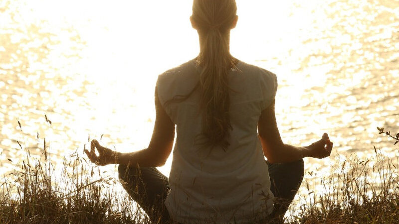 The Future of Mental Wellness: How Science and Innovation Are Changing the Way We Heal