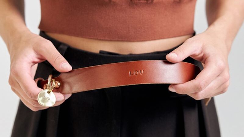 What I Didn’t Realise About Dog Collars Until It Was Too Late