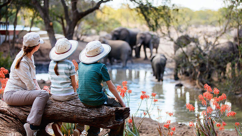 Family-Friendly African Safari Ideas