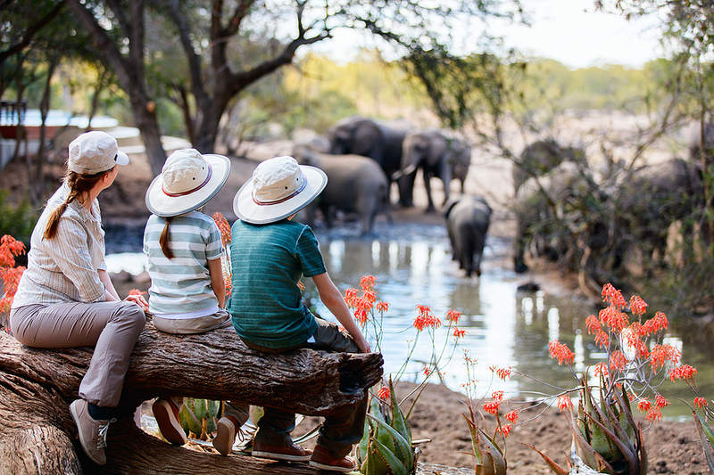 Family-Friendly African Safari Ideas