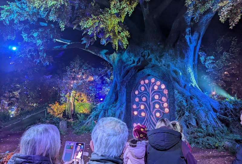 Eeckos Glade Lapland UK