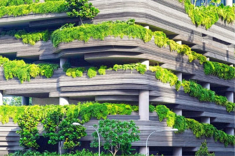 Concrete Building With Foliage