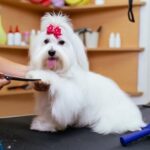 dog being groomed
