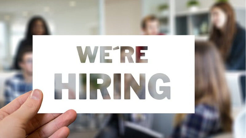 The Financial Challenges Businesses Face When Expanding Their Workforce