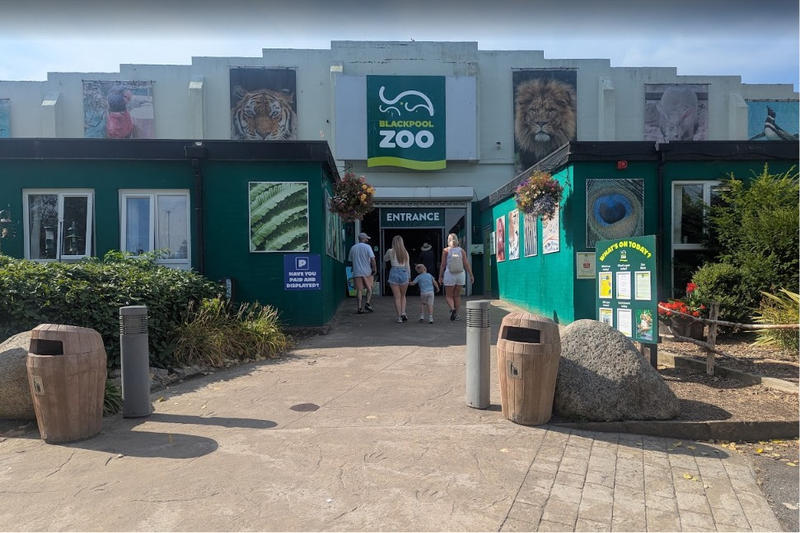 My Review of Blackpool Zoo: Things To Know Before You Go