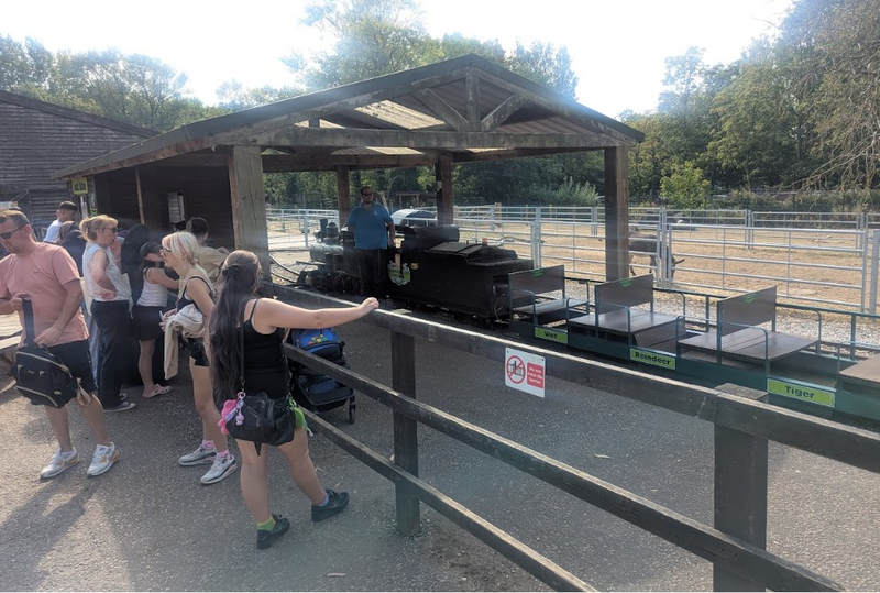 Miniature Train at Blackpool Zoo