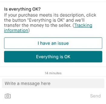 Vinted I have an issue button
