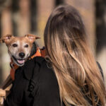 Woman with Pet Dog